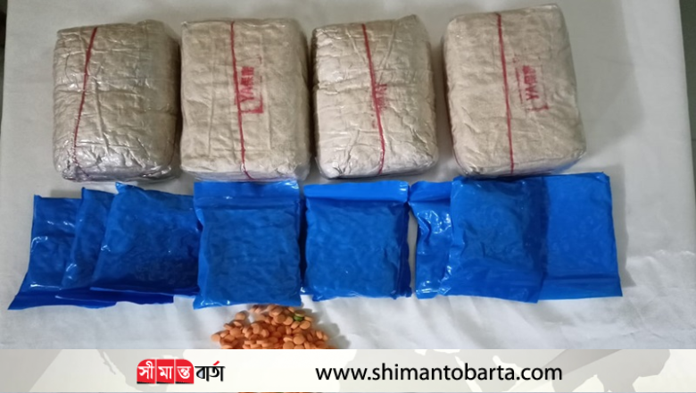 দশ হাজার ইয়াবাসহ আটক-৩