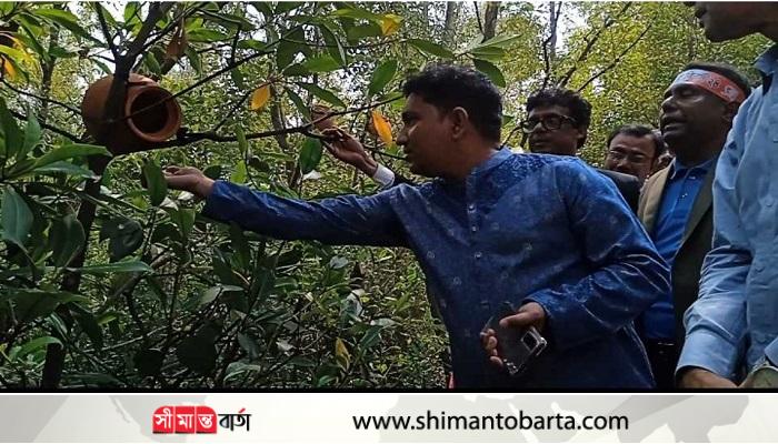 দেবহাটা রুপসী ম্যানগ্রোভকে ইউএনওর পাখির অভয়াশ্রম ঘোষনা