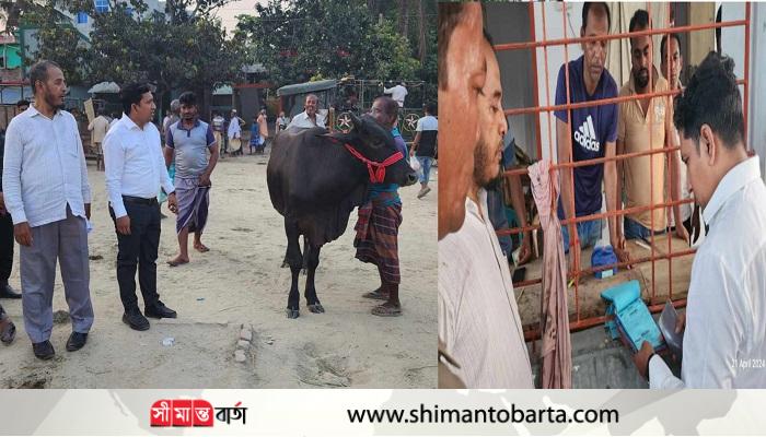 দেবহাটায় পশুর হাটে মূল্য নিয়ন্ত্রণে নির্বাহীর মনিটরিং