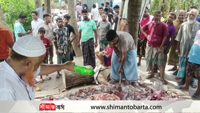 কালীগঞ্জে অসুস্থ্য মরা গরুর মাংস বিক্রয়কালে জব্দ