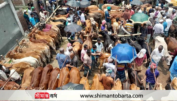 অনুমতিহীন কোরবানি হাটে অবৈধভাবে আদায় হচ্ছে লাখ-লাখ টাকা!