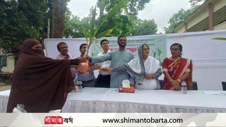সাতক্ষীরায় বিনামূল্যে সার ও নারিকেল চারা বিতরণ