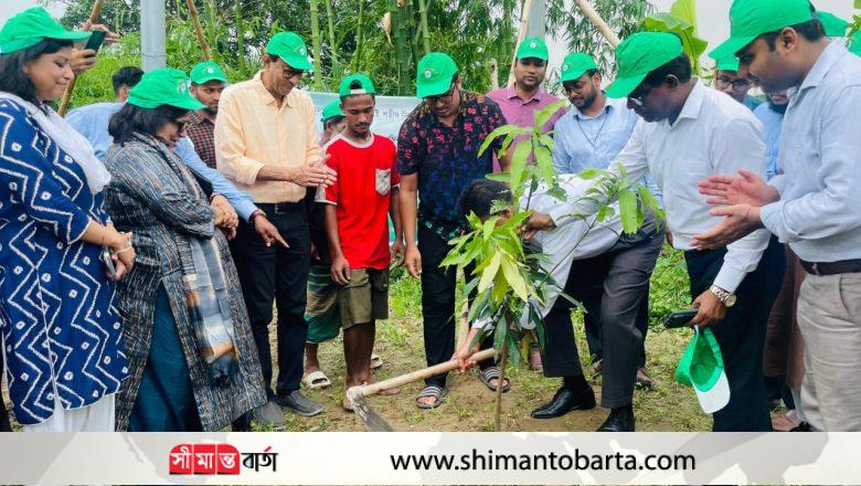 তারুণ্যের উৎসব, জুলাই বিপ্লব ও জুলাই শহীদ দিবস উদযাপন